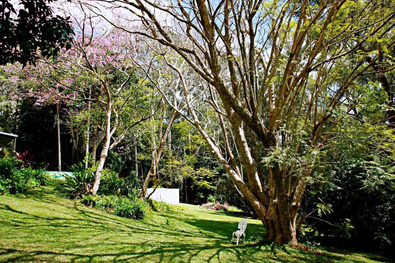 Maleny Monet Studio Exteriér fotografie