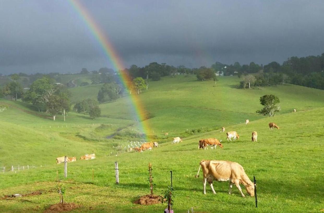 Maleny Monet Studio Exteriér fotografie